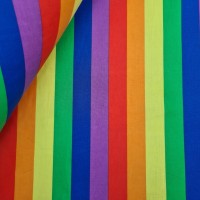 Rainbow Polycotton Stripe 25mm