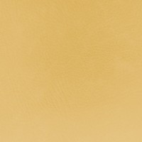 Flame Retardant Leatherette Beige