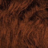 Long Hair Fur - Brown