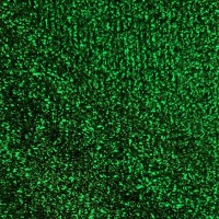 Glitter Fabric - GREEN