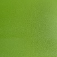 Heron Leatherette FR - APPLE GREEN