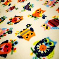 Anti Pill Fleece Fabric - Owls