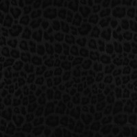 Stretch Faux Leatherette - BLACK LEOPARD