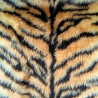 Novelty Fur Tiger Fur