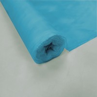 Plain Dyed Organza Turquoise