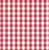 Table Vinyl  - Red Gingham